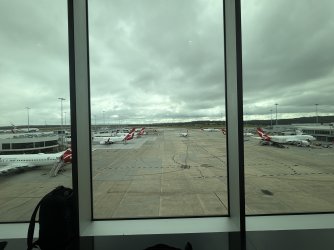 IMG_0208.jpeg