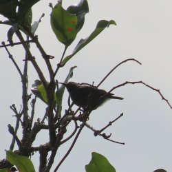 IMG_6862.JPG
