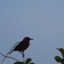 IMG_6871.JPG
