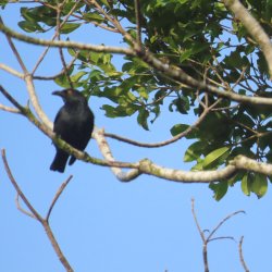 IMG_6883.JPG