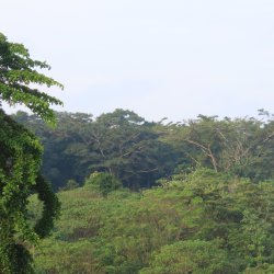 IMG_6898.JPG