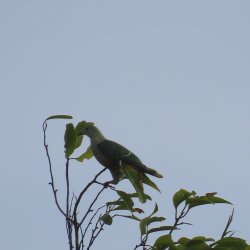 IMG_6935.JPG
