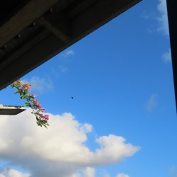 IMG_6940.JPG