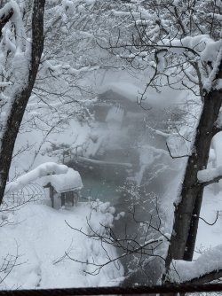IMG_2178.JPEG