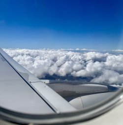 IMG_5874.jpeg