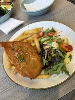 IMG_8805.jpeg