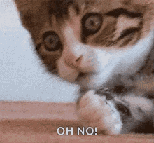 1787737183538.gif