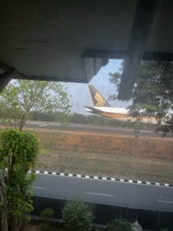 IMG_7994 Medium.jpeg