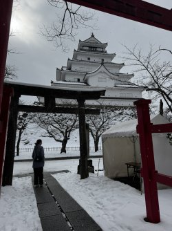 IMG_2213.JPEG IMG_2213.JPEG