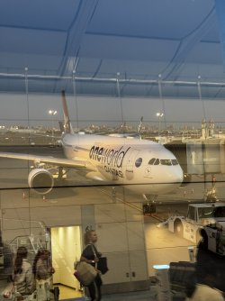 IMG_2279.JPEG IMG_2279.JPEG