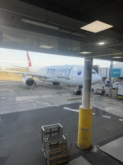 IMG_2320.JPEG IMG_2320.JPEG