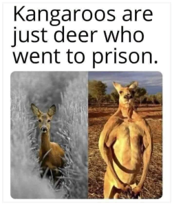 1787803179385.png
