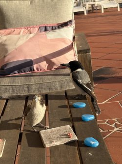 IMG_8822.jpeg