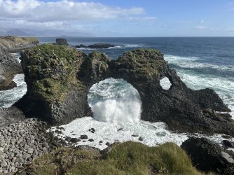 IMG_8913.jpeg