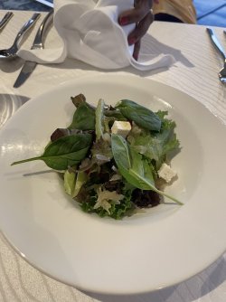 IMG_6858.jpeg IMG_6858.jpeg