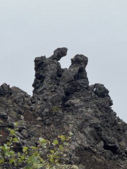 IMG_0172.jpeg