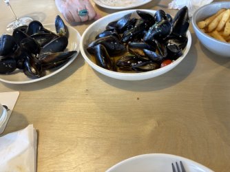 IMG_8833.jpeg