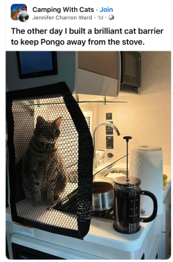 IMG_6321.PNG IMG_6321.PNG