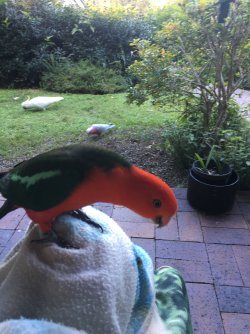 IMG_0956.JPG