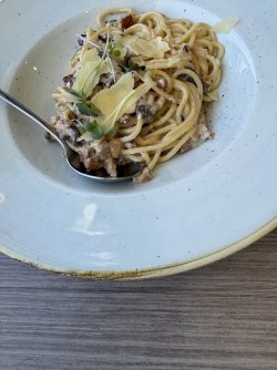 IMG_8839.jpeg