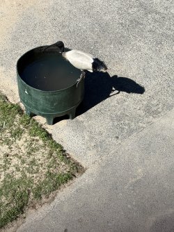 IMG_8841.jpeg