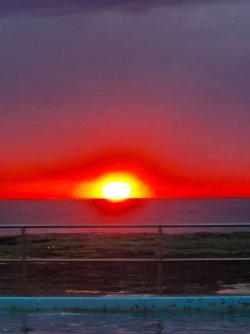 IMG_3844.jpeg