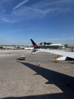 IMG_8061 Medium.jpeg