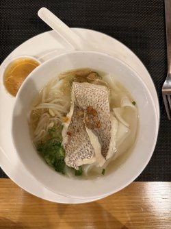 IMG_8383.jpeg
