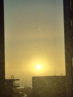 20260905_065044.jpg