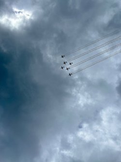 IMG_9269.jpeg IMG_9269.jpeg