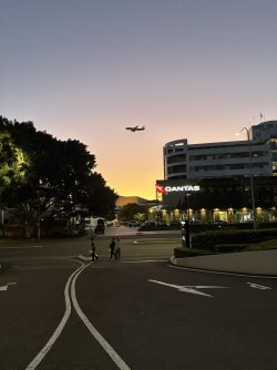 IMG_2892.jpeg