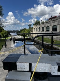 IMG_8069 Medium.jpeg
