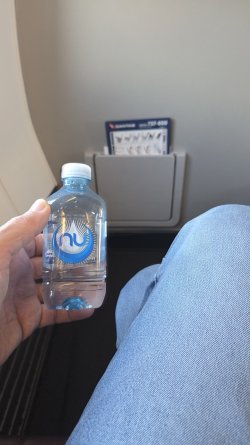 50081.jpg 50081.jpg