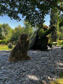 IMG_8130 Medium.jpeg