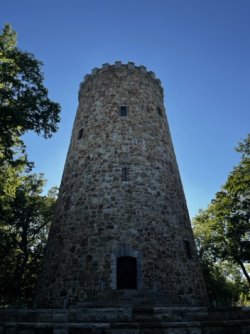 IMG_8138 Medium.jpeg