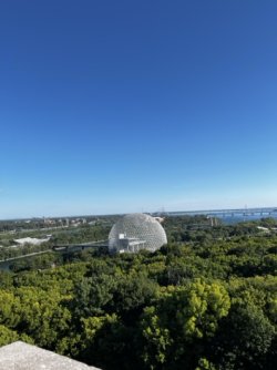 IMG_8140 Medium.jpeg