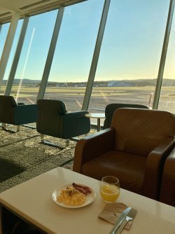 IMG_5683.jpeg