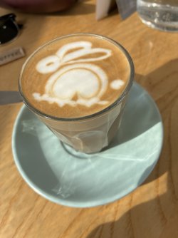 IMG_2052.jpeg