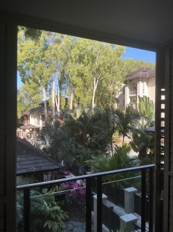 IMG_5783.jpeg