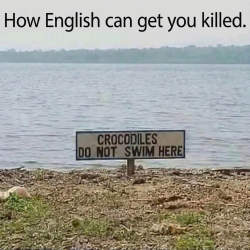 1788863829364.png