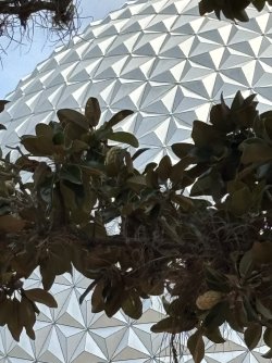 IMG_5092.JPG IMG_5092.JPG