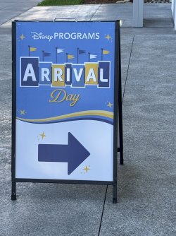 IMG_5100.JPG IMG_5100.JPG