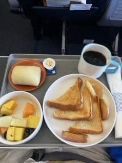 IMG_8148 Medium.jpeg