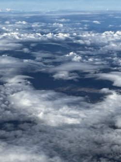 IMG_8163 Medium.jpeg