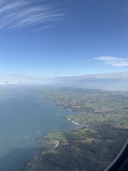 IMG_7050.jpeg