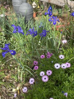 IMG_3921.jpeg