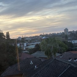 IMG_8903.jpeg