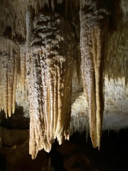 IMG_3961.jpeg