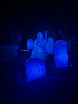 IMG_5164.JPG IMG_5164.JPG