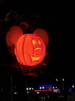 IMG_5166.JPG IMG_5166.JPG